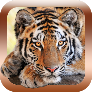 Animal Sounds Zoo for Toddlers apk Download