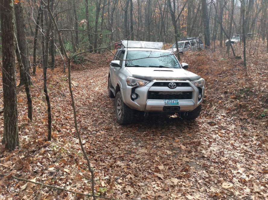 A white car parked in a wooded area

Description automatically generated with medium confidence