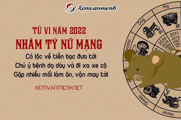 tu-vi-tuoi-nham-ty-nam-2022-nu-mang-1972