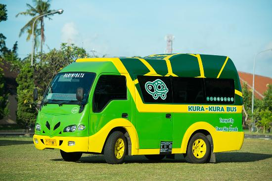 Kura-Kura Bus Transportasi Bali