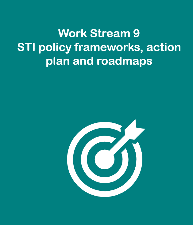Work Stream 9: STI policy frameworks, action plan and roadmaps