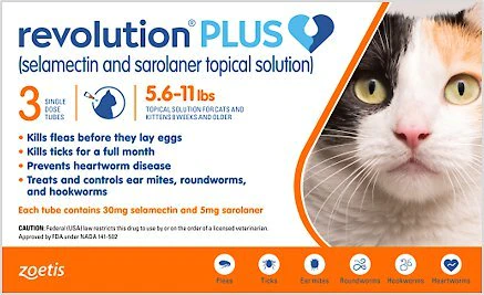 the-best-flea-treatment-for-outdoor-cats-health