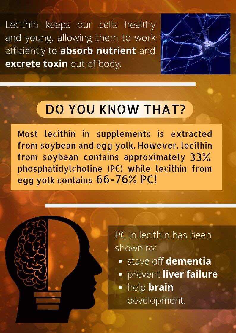 Curious to know more about Lecithin? Click on the images below to understand why it plays a vital role in our health.