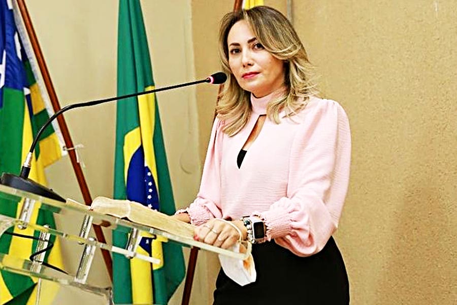  Vereadora Camila Rosa comemora aprovação do Projeto de Lei que regulamenta situação dos feiramentes