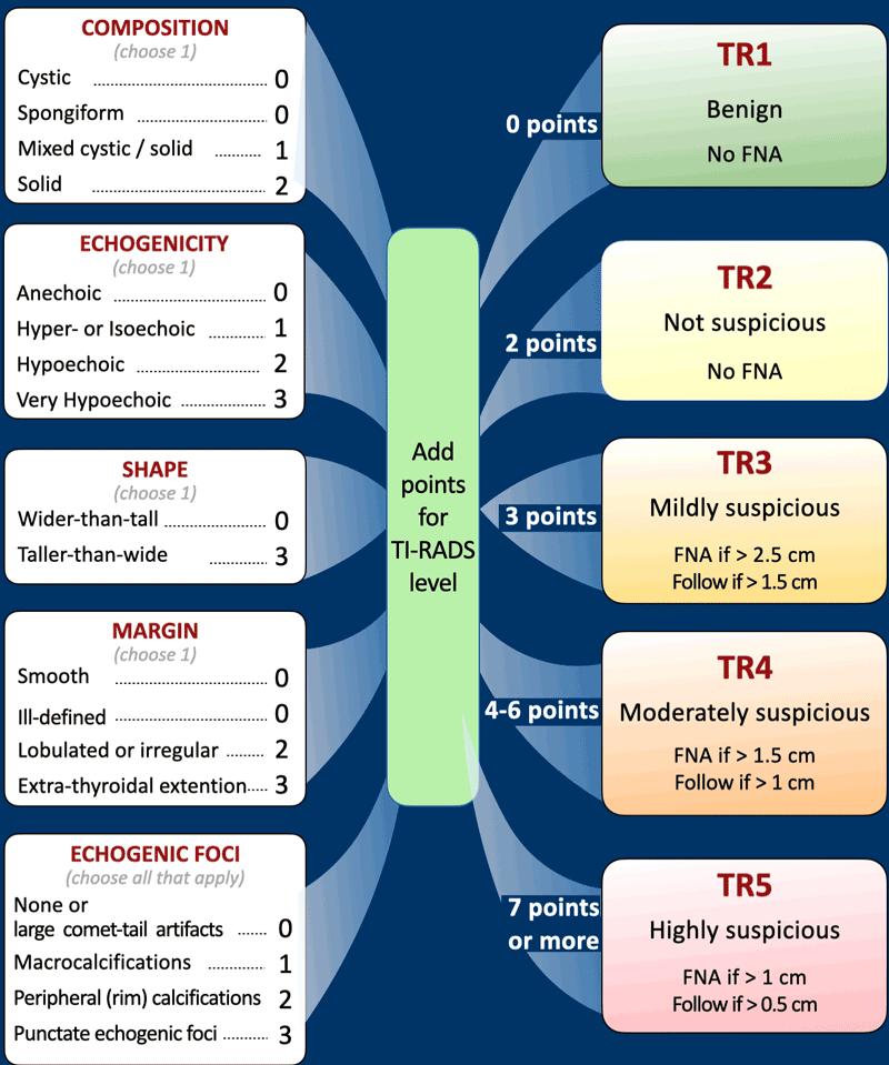 Graphic presentation of TI-RADS 