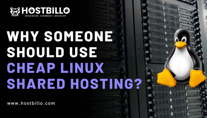 Why Someone Should Use Cheap Linux Shared Hosting?
