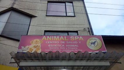 Animal Spa