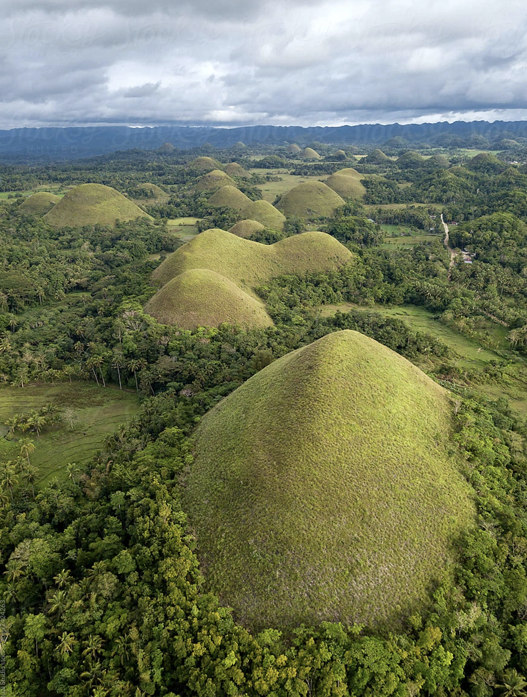 Ngọn đồi Chocolate: Kỳ quan thiên nhiên hùng vĩ tại Philippines