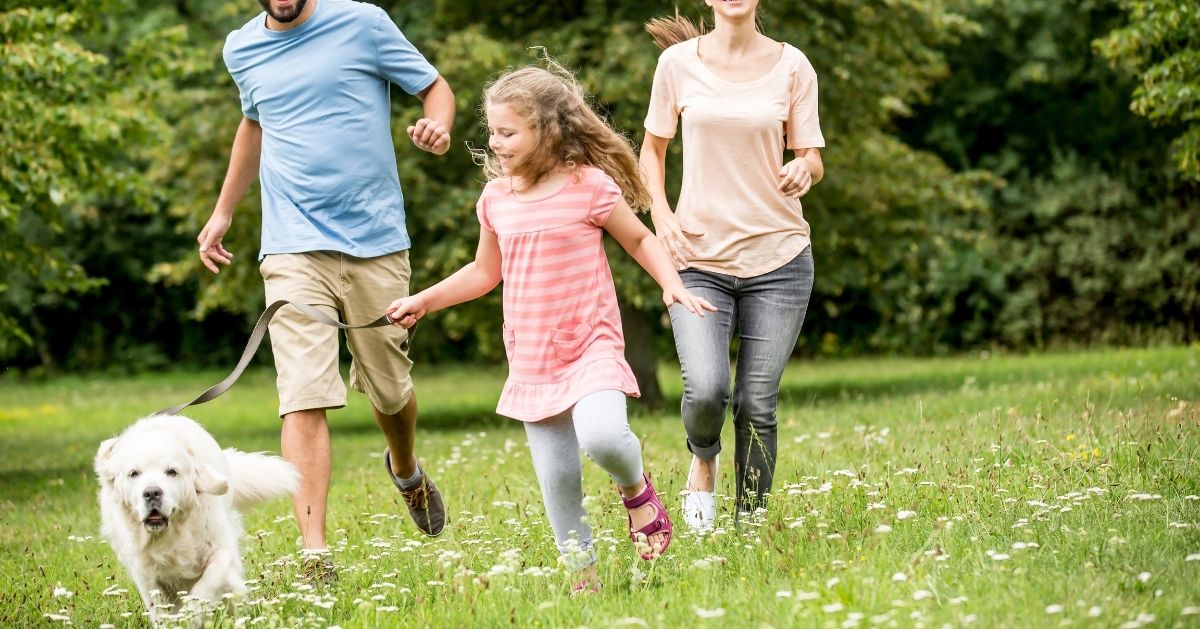family running with dog in meadow