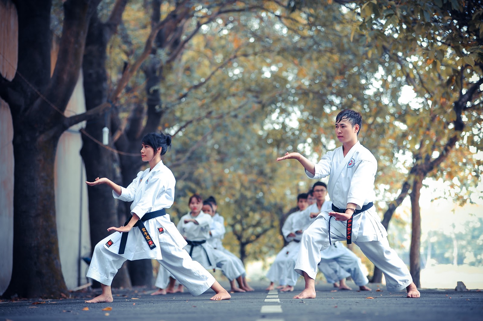 Karate Stances - Front Stance - Zenkutsu Dachi