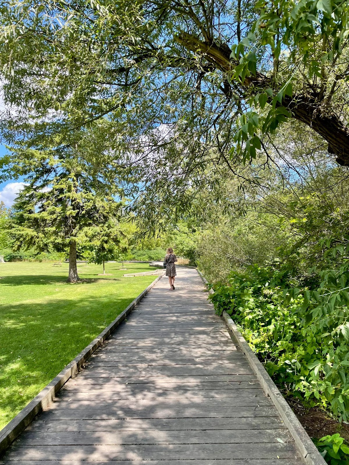 bissell park elora