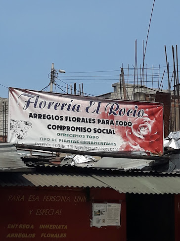 Opiniones de Floreria El Rocio en Quito - Floristería