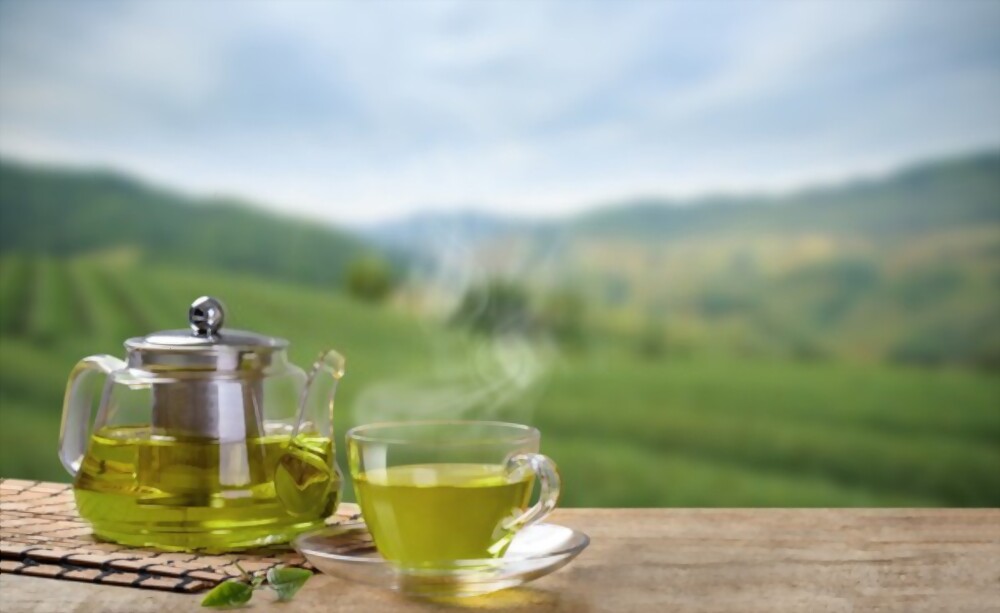 is-caffeinated-green-tea-good-for-gastritis