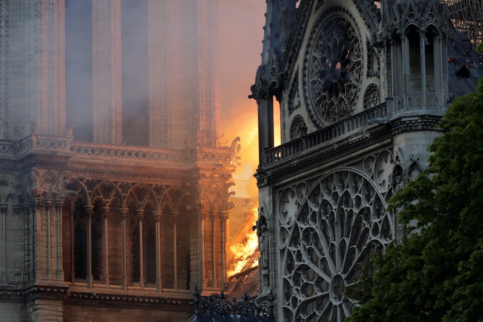 Disneyland e Notre Dame: polemiche per il restauro