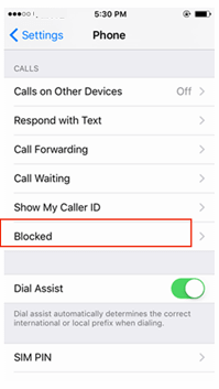 Tapping Blocked contacts to avoid unwanted calls/texts: How to block a number on an iPhone
