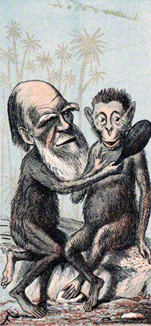 Satirical cartoon of Darwin as a monkey.