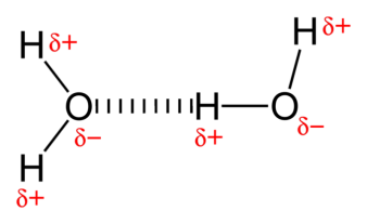 800px-Hydrogen-bonding-in-water-2D