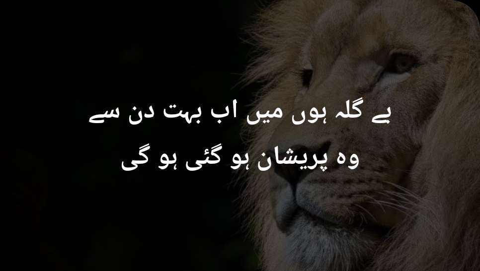 Jaun Elia Poetry