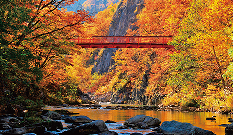 札幌の“黄金の秋”を思い出に刻んで欲しい！「定山渓二見公園」