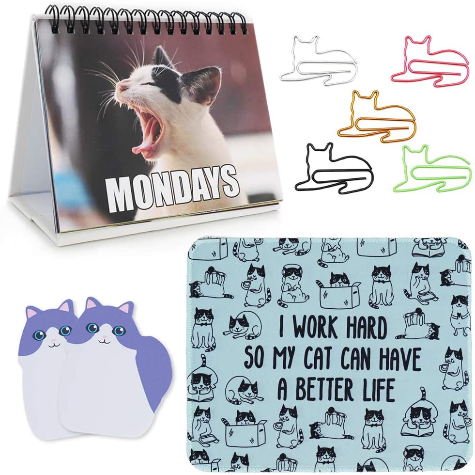 cute gifts for cat owners