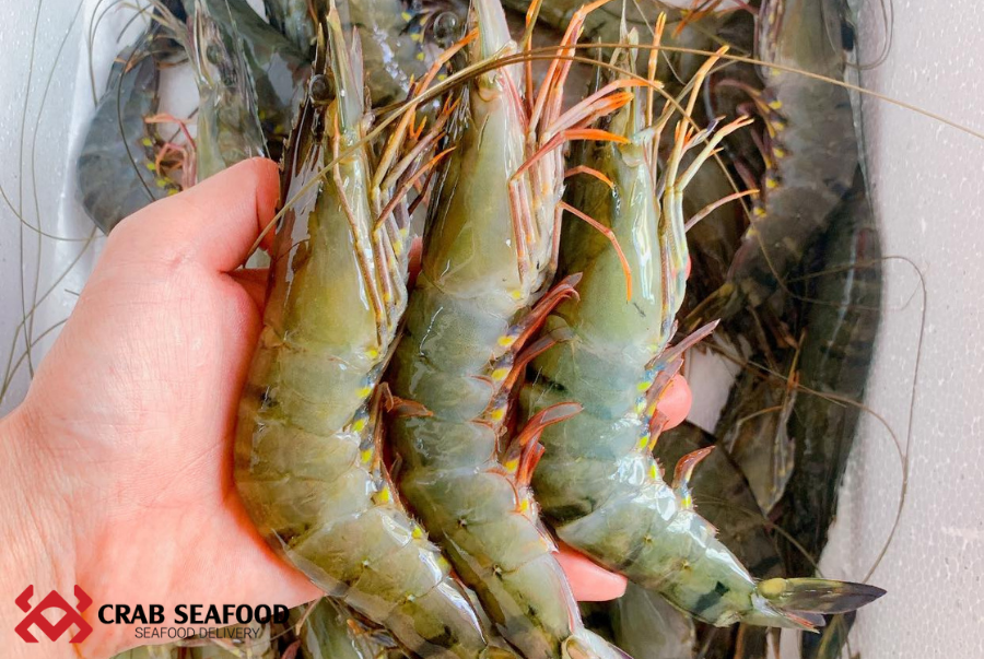 Địa Chỉ Bán Tôm Sú Biển Tươi Sống, Chất Lượng Tại TPHCM - Crab Seafood