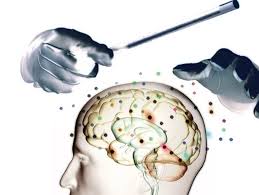 cerebro vulnerable.jpg