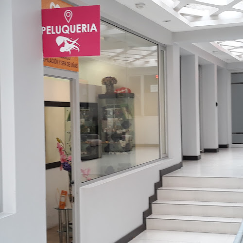 Opiniones de Tersa en Quito - Peluquería
