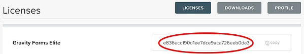 Thêm khóa cấp phép cho plugin Gravity Forms WordPress.