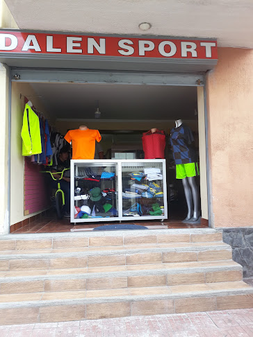 Dalen Sport