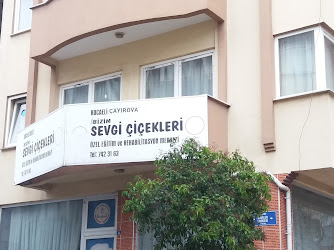 Bizim Sevgi Çiçekleri