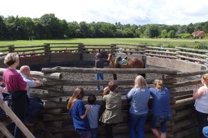 round pen crowd