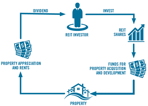 the property cycle