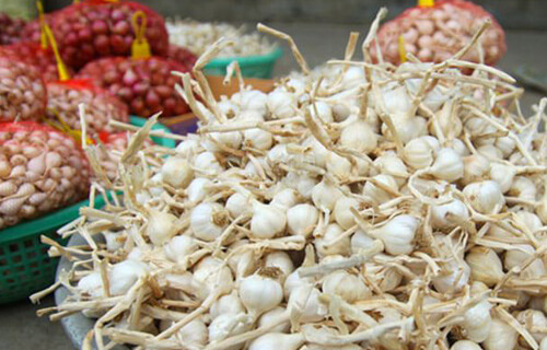 Kinh Nghiệm Du Lịch Lý Sơn Từ Đà Nẵng