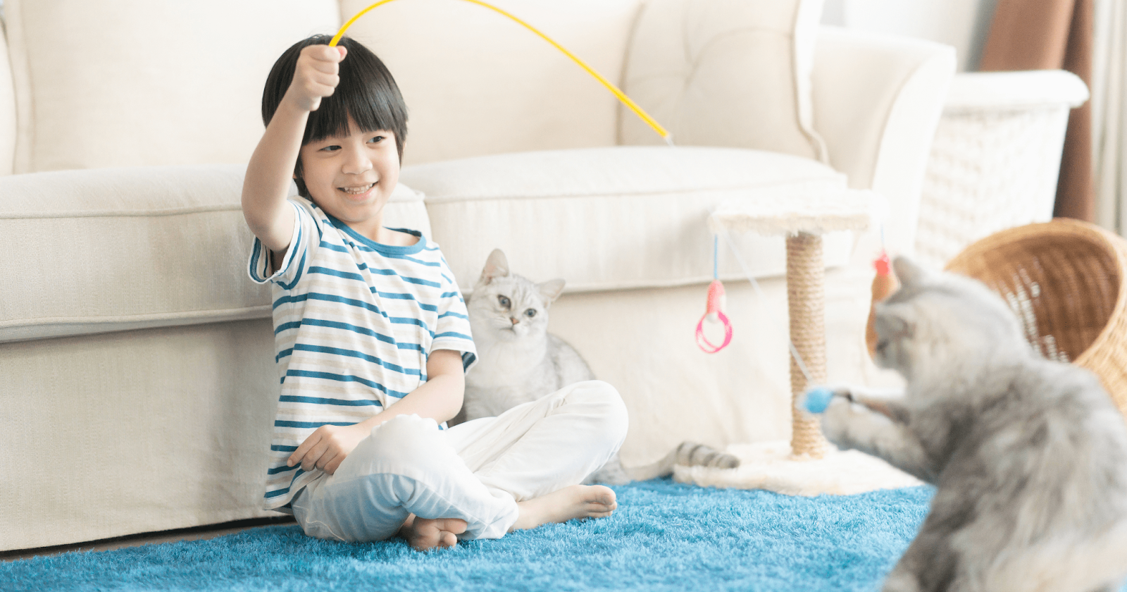 Young boy playing with two cats using string toy