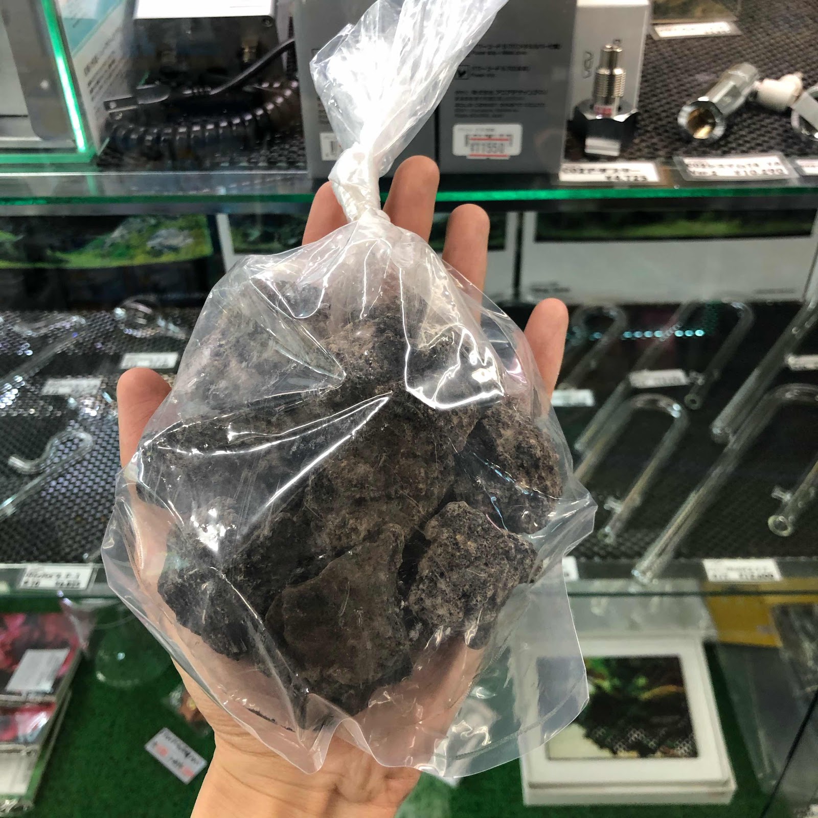 アクアテイク ｅ ブログ 19