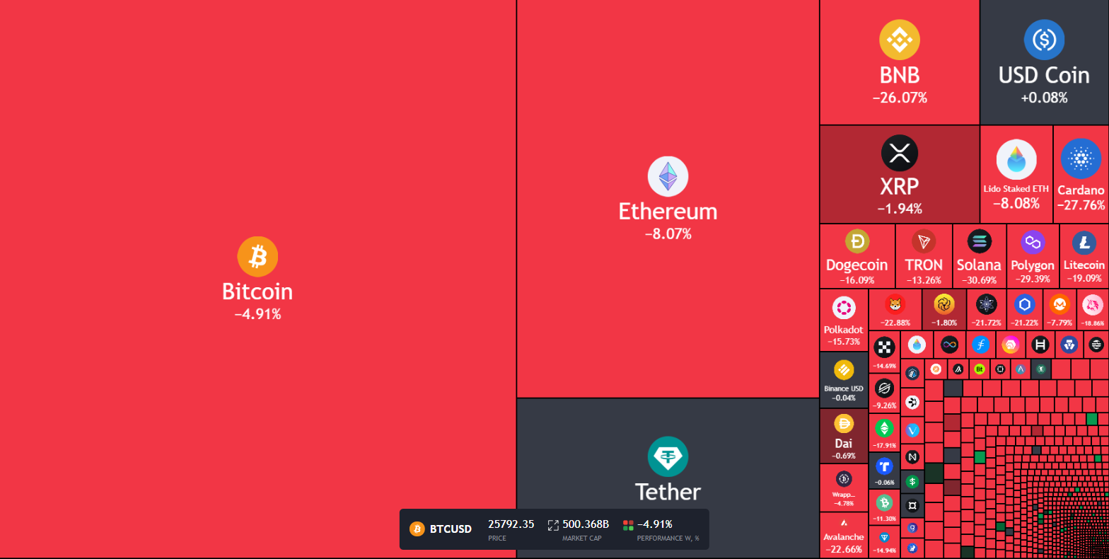 Xcoins