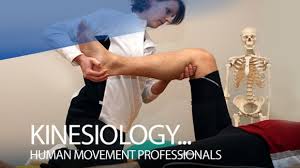 Image result for kinesiologist