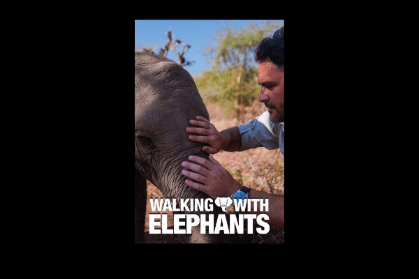 Walking with Elephants Poster