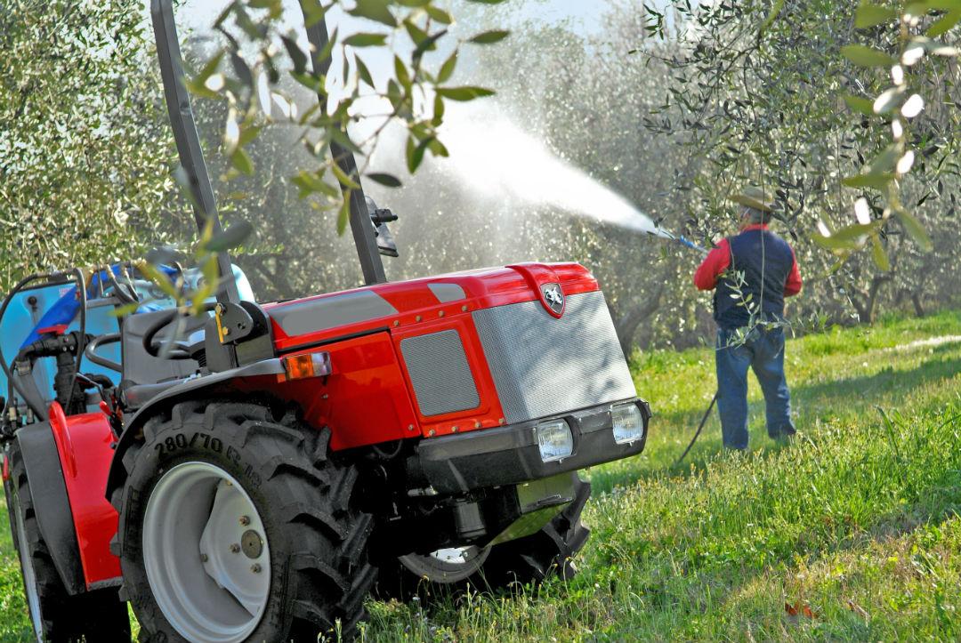 Concimazione fogliare dell'olivo in produzione