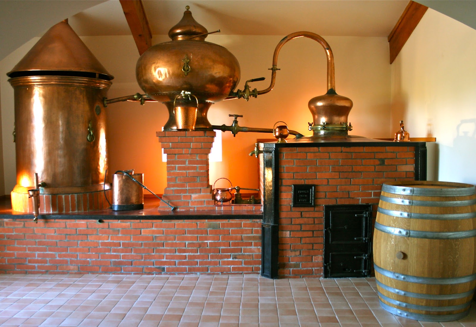 VIGNOBLES (13).JPG