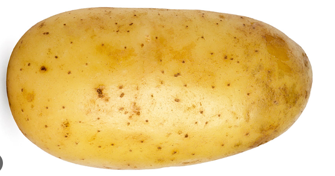 20-vegetables-name-download-free-pdf-vegetable-name