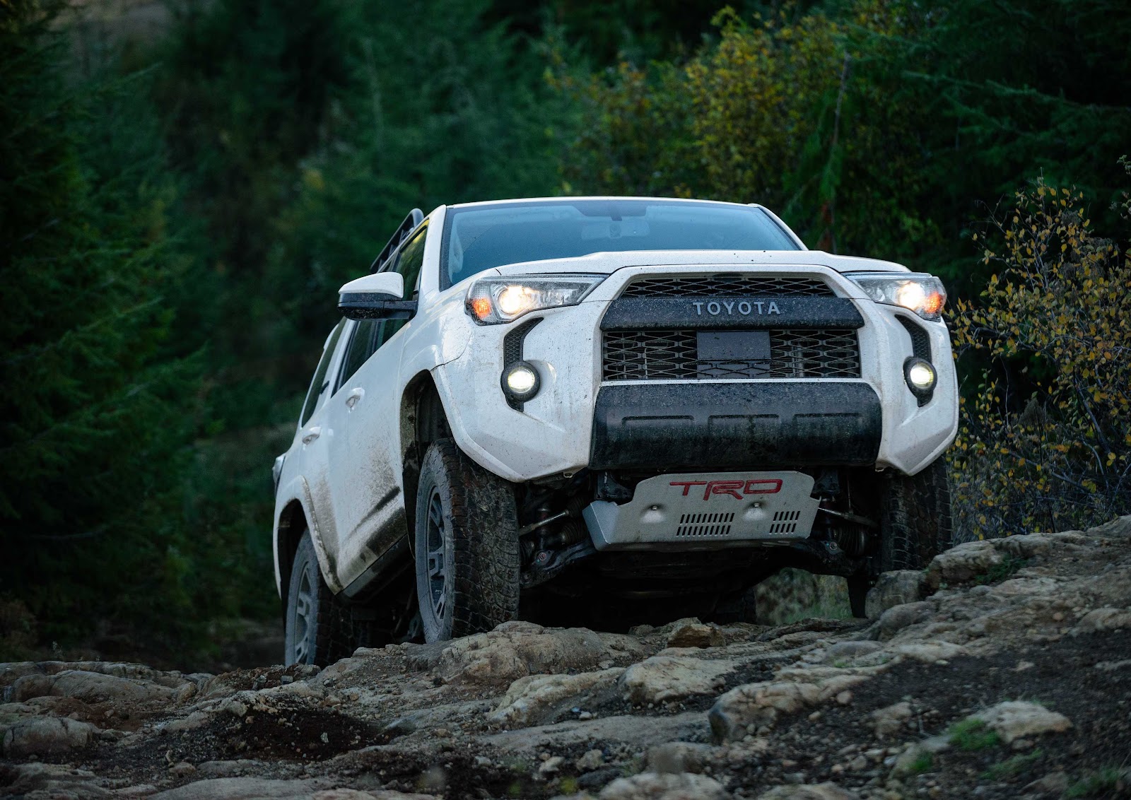 2020 Toyota 4runner In Rogers Ar Steve Landers Toyota Nwa