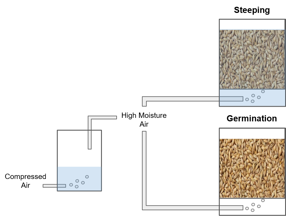 steeping and germination of malt