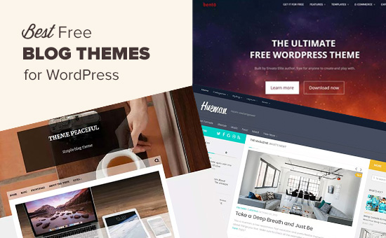 Utilize a Free WordPress Theme To Create Your Blog: