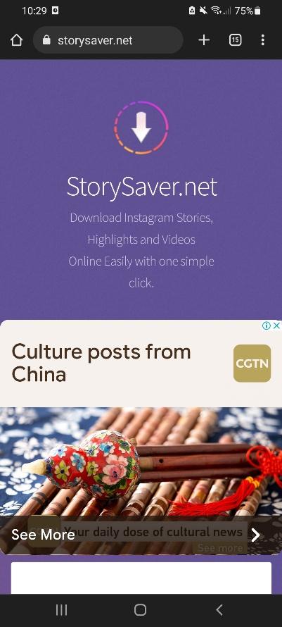 Open Storysaver.net in your browser to get started