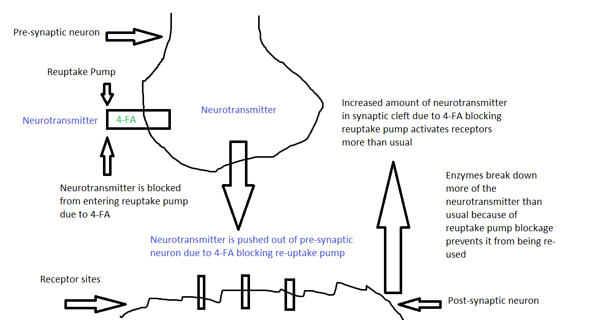 4fa pharmacology.png