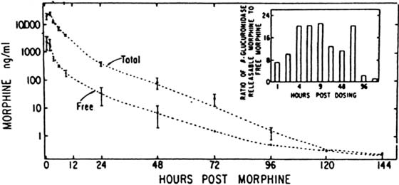 Urine morphine concentration after administration of 0.1 mg/kg, IV to horses [10].