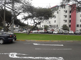 Medi Perú ( Valet Parking)