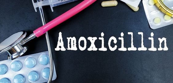 Can You Take Amoxicillin on an Empty Stomach