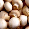 https://cdn1.healthaliciousness.com/images/mushrooms.jpg